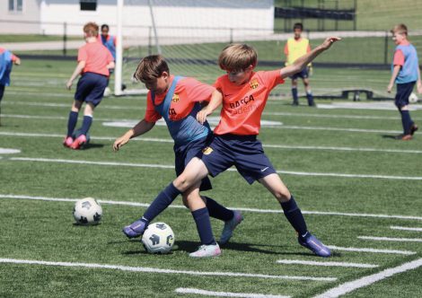 Foto 2-7-25, 16 38 55